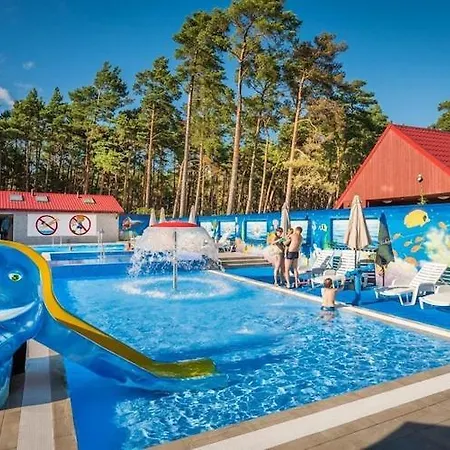 Comfortable Home, Summer Pool
